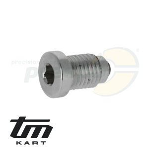 pic 13 drain screw for gear oil with magnet TM KZ10B