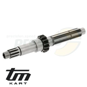 pic 04 primary shaft TM KZ10C
