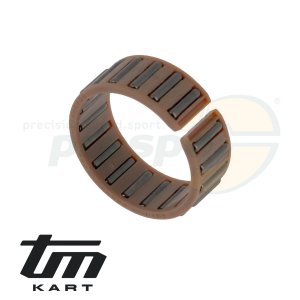 pic 05 needle cage  drive shaft TM KZ R2