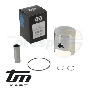 pic 12 piston kit - TM  R2  ''RC 24''  FLAT  Top   Gre: 53.93