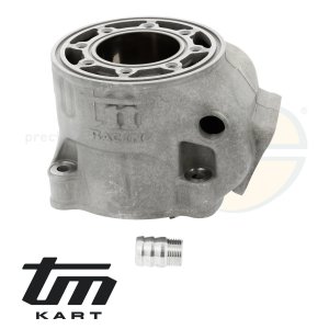 pic 09 cylinder TM KZ10