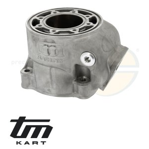 pic 07 cylinder TM KZ10B