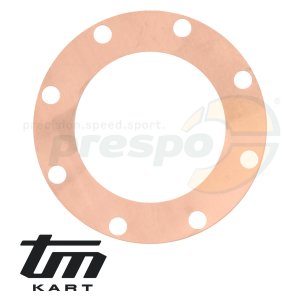 pic 06 gasket cylinder head  TM   KZ10C   -   0.10 mm