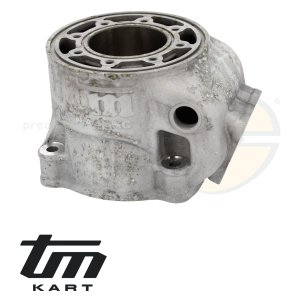 pic 09 cylinder TM KZ10C - Preparato