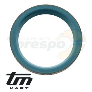 pic 35 oil seal clutch drum TM KZ R2