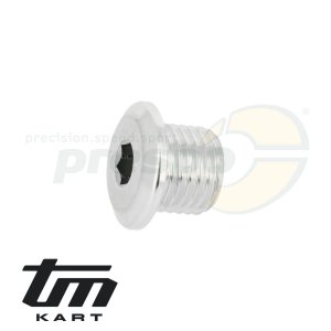 pic 38 bleeding screw gear box TM KZ R2
