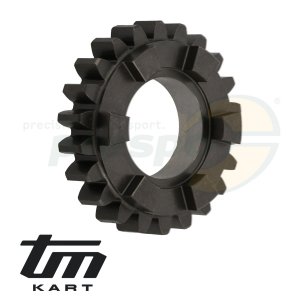 pic 04 gear wheel primary shaft  5th - TM KZ R2