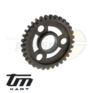 pic 19 gear wheel secondary shaft    1st  - TM KZ R2
