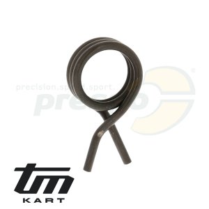 pic 05 spring  gear selector TM KZ R1