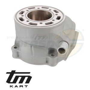 pic 12 cylinder TM KZ R2 - PREPARATO