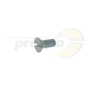 pic 19 screw for choke lever 