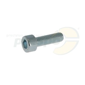 cylinder head-screw  M 5 x 15 mm