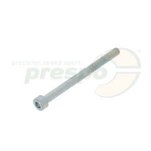 cylinder head-screw  M 5 x 60 mm