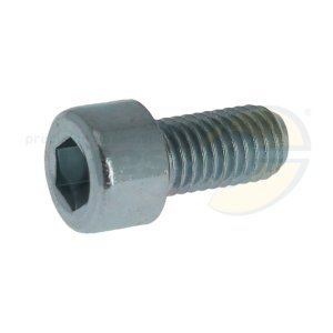 cylinder head-screw  M 10 x 20 mm