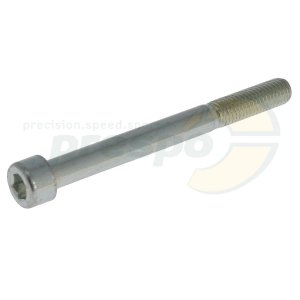 cylinder head-screw  M 10 x 100 mm