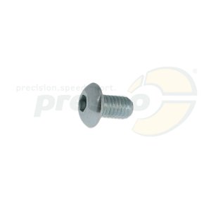 fillister head screw M 5 x 8mm  inside hexagon