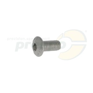fillister head screw M 5 x 10mm  inside hexagon