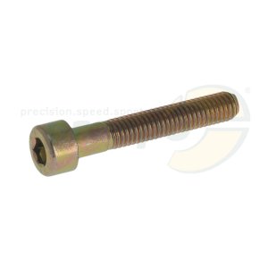 cylinder head-screw gold  M 5 x 30 mm  steel 8.8