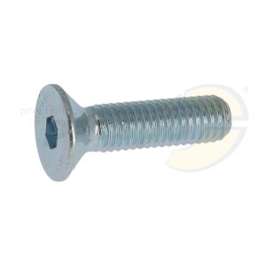 countersunk head screw  M 8 x 30 mm